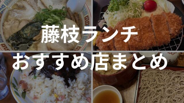 藤枝ランチおすすめ店まとめ