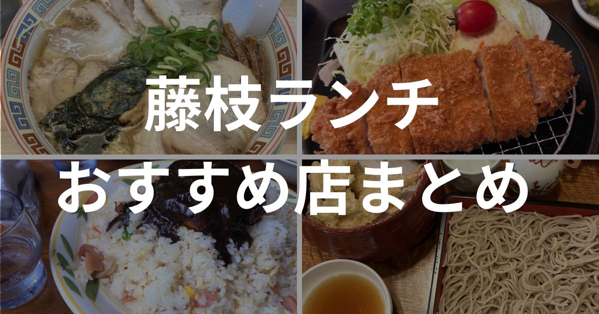 藤枝ランチおすすめ店まとめ