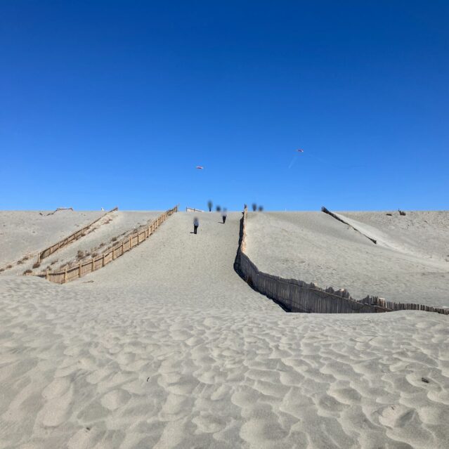 浜松市の遠州灘沿いに広がる「中田島砂丘」。