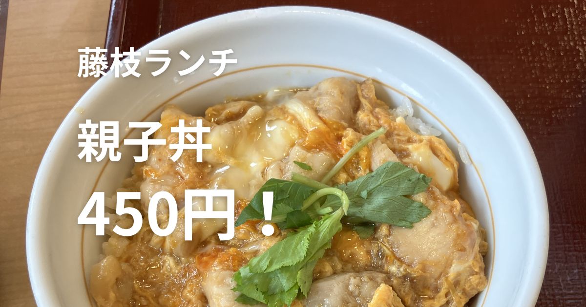 なか卯の親子丼450円 藤枝ランチ