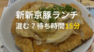 静岡市の新新京豚のカツ丼ランチ。混雑する時間帯に訪問したボリュームのある一品