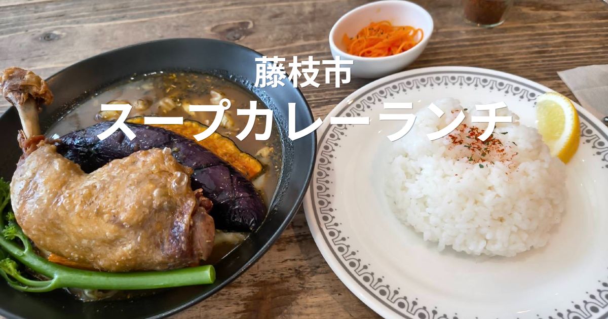 藤枝市のスープカレー専門店コモレビのチキンレッグ＆ベジタブルランチ