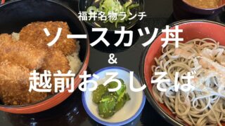 福井県永平寺町の矢の屋で食べたソースカツ丼と越前おろしそば