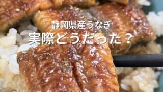 静岡県産うなぎの蒲焼を田子重で購入して実食した様子