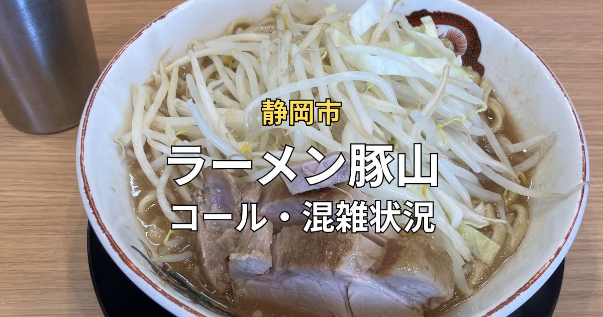 静岡市のラーメン豚山で注文した小ラーメン