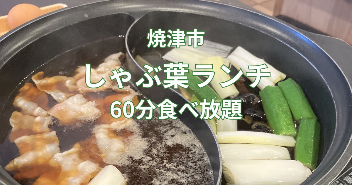 焼津市のしゃぶ葉ランチで注文した60分食べ放題の鍋